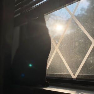 Meet your Posher, Sophia